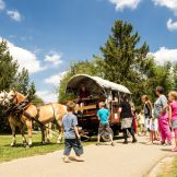 horse-drawn carriage rides